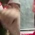 Keen V C Est Bientot Noel Clip
