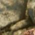 Shadow Of The Tomb Raider Find Takiy S Dice Side Mission Walkthrough