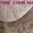 мой хлеб