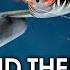 Avoid Them In Frontal Attack War Thunder