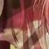 Black Bullet Opening Creditless