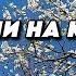 858 Живём и наслаждаемся жизнью Кто хочет переехать этот канал для вас