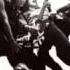 Van Halen Tora Tora Loss Of Control