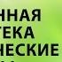 Общероссийский семинар практикум Современная библиотека и экологические вызовы Ч 1