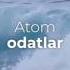 Атом одатлар китоби Жеймс Клир Atom Odatlar Кириш