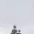 Rainsounds Raintime Greenenvironment Cool Cloud Coversong Palpalsong