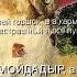 ПРИКОЛ И ПО ЛЕСУ Я ИДУ ТЯПКОЙ КРОЛИКОВ ГЛУШУ