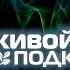 Кто такой Даниил Зуев Что такое Просветление НА САМОМ ДЕЛЕ