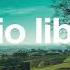 Inner Light By Kevin MacLeod No Copyright Music YouTube Free Audio Library