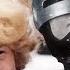 До чего дошёл прогресс 2 или Грустная песенка Сыроежкина