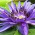 AUM CHANTING OM At 396 Hz Universal Mantra Dissolves Negativity Removes Fear