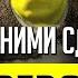 ВСРАТЫЕ РУССКИЕ ПЕРЕВОДЫ и ОЗВУЧКИ Шрек Черепашки Ниндзя 2003 и другое