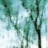 Moby Raining Again