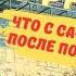 Сафари Парк Геленджик после пожара