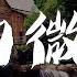 陽山偉偉 她的微笑 Original Mix 動態歌詞Lyrics