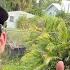 I Mowed This Neglected Yard Without PERMISSION Waiting For Someone To STOP Me