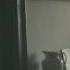 VÉRITÉ Somewhere In Between Lyric Video