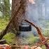 3 Days Solo Bushcraft Camping Mushroom Hunting Tarp Shelter Camping In The Rain