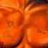 2Pac Letter 2 My Unborn