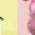 Pharmacy X Copy Cat Mashup Melanie Martinez Isaac Dunbar Tierra Whack