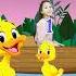 5 Küçük Ördek Çocuk Şarkısı Five Little Ducks Nursery Rhymes For Kids Simple Songs SH Kids