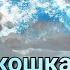 Почему кошка мурлычет