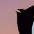 Animaniacs Cold Ending