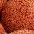 ১ট ড ম এক ক প স জ দ য অস ধ রণ স ব দ র স জ র ব স ক ট Suji Biscuit Semolina Snacks Biscuits