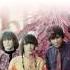Steppenwolf Desperation