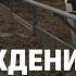 Как райагросервисы возвращают силу сельскому хозяйству Беларуси На контроле Президента