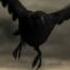 Snow White And The Huntsman Trailer