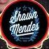 Shawn Mendes Never Be Alone 8D Audio
