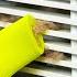 Make Your Shorts A Hit With AP ENT CAN I COME WITH YOU Cool Hacks For Squeaky Clean Home