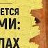 Что подразумевается под словами Пречист Аллах и хвала Ему Шейх Салих аль Фаузан