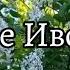 ПЕНИЕ ИВОЛГИ СНИМЕТ СТРЕСС ВОССТАНОВИТЬ НЕРВНУЮ СИСТЕМУ релакс