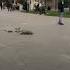 Астрахань вокзал заминировали