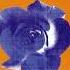 Blizzard Without You Mistral Extended Mix 1996