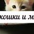 Гримм Дружба кошки и мышки читает Алексей Зеленский