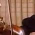 THE HAGEN QUARTET Mozart String Quartet In D Minor K 421