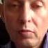 Контроль и координирование Александр Фридман тренер консультант