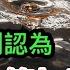 摩根斯坦利認為 中共的政策弄反了 加重了危機 西方終於理解了習主席念念有詞的咒語的真實含義 川普政府台灣政策急轉彎