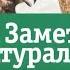 Заметки натуралиста 1 12 20