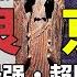 超 限時特別篇 關西萬博日本超國寶展 續章 傳說中的兵器 史前手辦 奈良京都等著你 尋寶隊長SIGMA