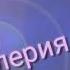 Маринетт и Адриан Что было бы если Маринетт вышла замуж за Адриана