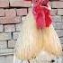 Rooster Morning Call Rooster Chicken Cock