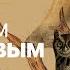 Дикие выходные с Павлом Глазковым Памятник природы Петровский пруд