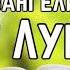 Библия Евангелие от Луки 5 глава