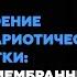 Строение эукариотической клетки двумембранные органоиды и их функции Биология