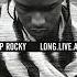 A AP Rocky Drake Kendrick Lamar F Kin Problems Kendrick