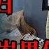 弟弟 来陪姐一晚 酒劲上来那一会 汪玲感觉一阵眩晕 他扶住了汪玲 那晚汪玲和他突破了最后的防线 中国刑事大案 懸案 拍案说法 江湖李白 X調查 Wayne調查
